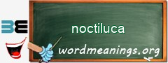 WordMeaning blackboard for noctiluca